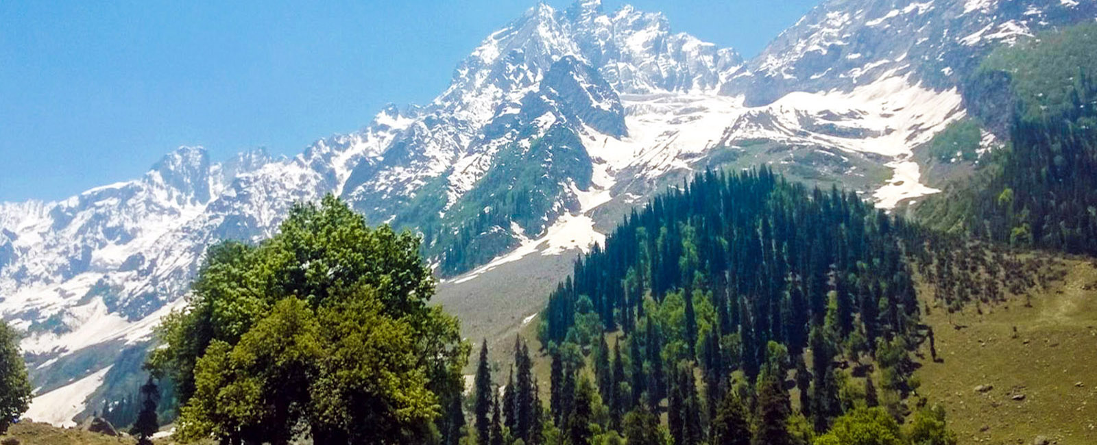 Sonamarg - Tajwas Glaciear View